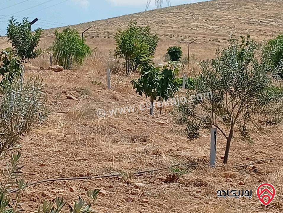 مزرعة مساحة الأرض 3 دونم و 400م بإطلالة للبيع في المفرق - بلعما