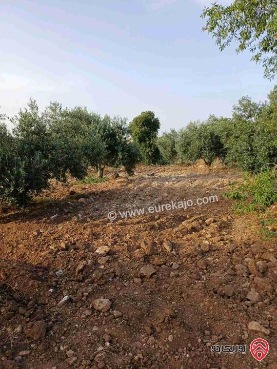 مزرعة مساحة 14 دونم للبيع في اربد - أراضي بني كنانة منطقة سمر