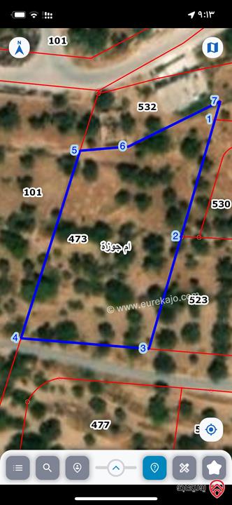 ارض للبيع في منطقة السلط - سلعوف - مساحة 1 دنم