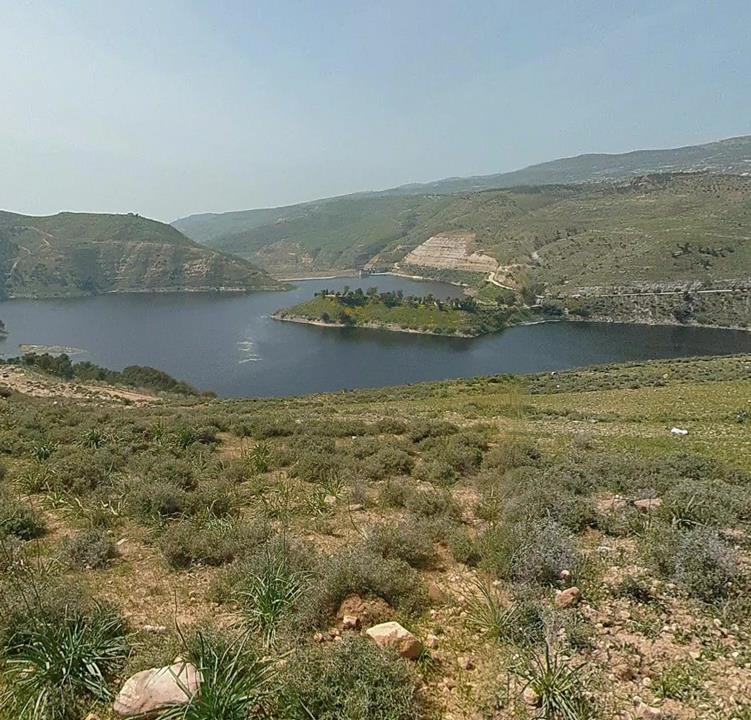 +96552221787