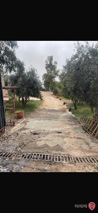 مزرعة مساحة الأرض 10 دونم والبناء 500م للبيع في عمان - منطقة وادي السير البصة ام الخنازير 