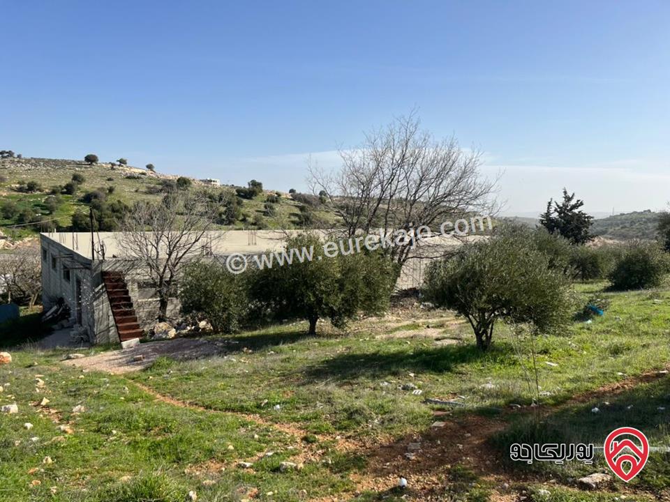 أرض مساحة 4 دونم و 500م للبيع في عجلون - صخره