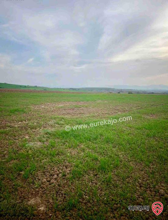 أرض مساحة 954م للبيع من أراضي شمال عمان - ابو نصير