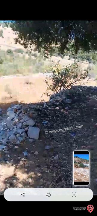 قطعة ارض مساحة 2 دونم و 240م للبيع في عجلون عنجره القاعده