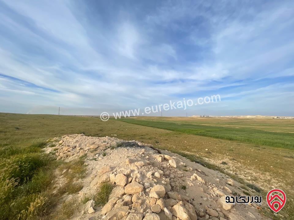 أرض مساحة 21 دونم و 400م للبيع من أراضي شرق عمان - الماضونة قرب جمرك عمان الجديد 