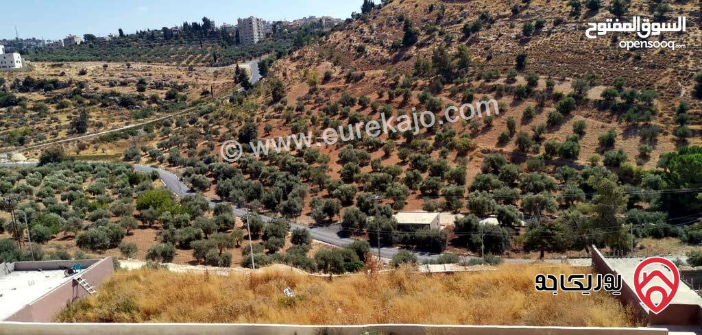 أرض سكنية مساحة 1800م للبيع في الفحيص / أم الخرق