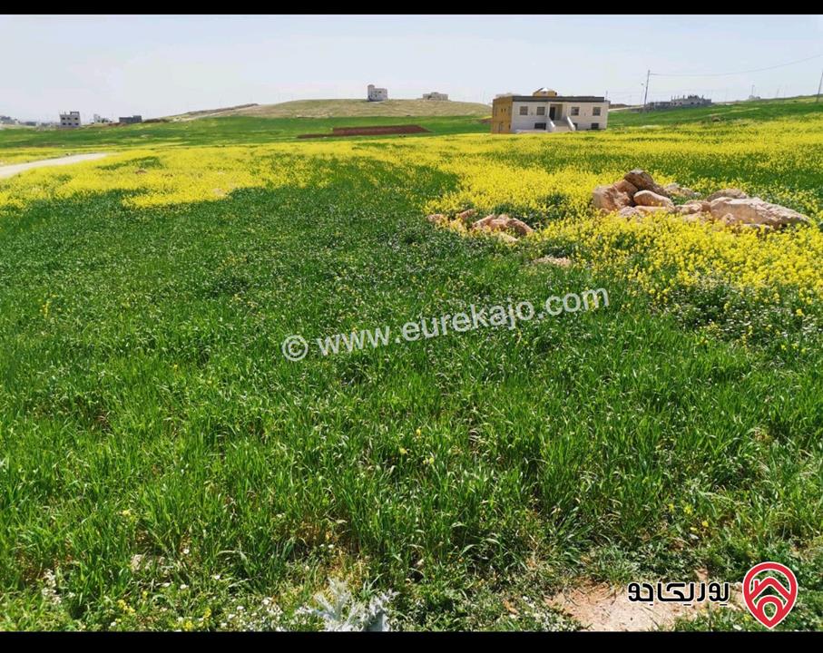 ارض مساحة 750م للبيع في الموقر - ضاحية الاميرة ايمان قرب مستشفى التوتنجي 