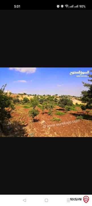 مزرعة / ارض استثمارية مساحة 9716م للبيع في عجلون - عبين وعبلين