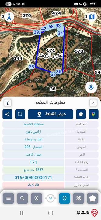 أرض مساحة 5 دونم مزروعة زيتون للبيع في عمان - سيل حسبان