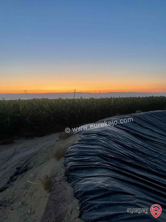 قطعة أرض مساحة 38500م للبيع في المغطس البحر الميت مع بئر ماء مرخص