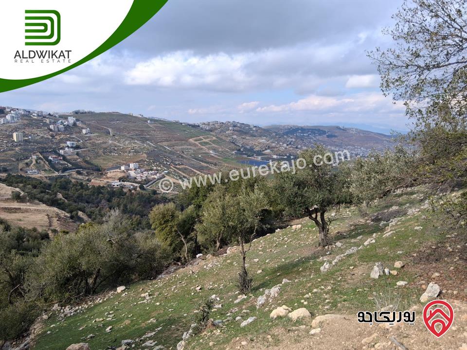 ارض مميزة للبيع في الكمالية مساحة 4060م موقع اطلالة على شارعين بالقرب من متحف الشهيد وصفي التل