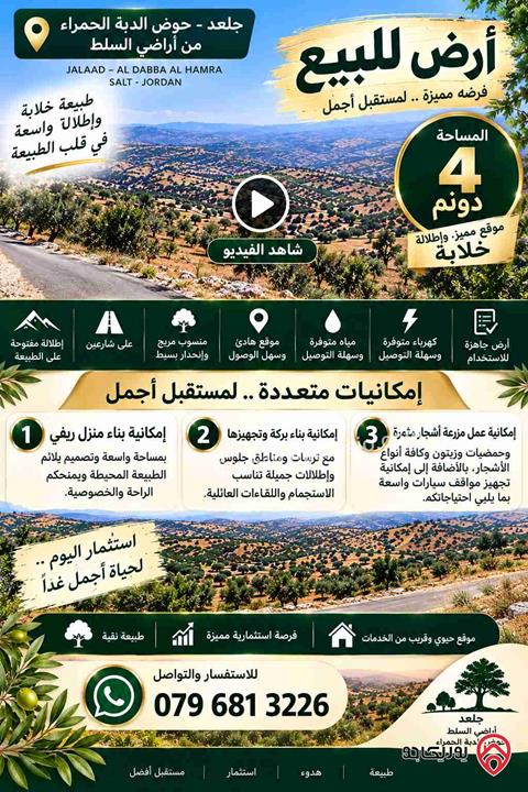 أرض مساحة 4 دونم للبيع في السلط - جلعد  