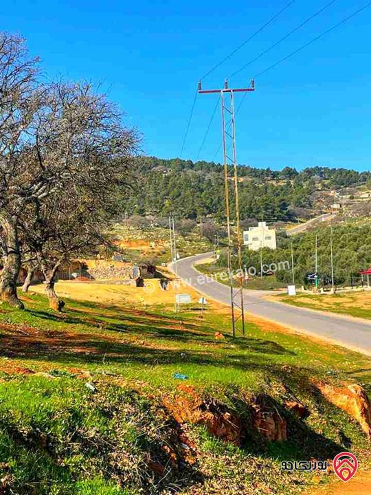 مزرعة مساحة الأرض 5700م للبيع في الزرقاء  - بيرين موقع قريب من عمان والزرقاء 