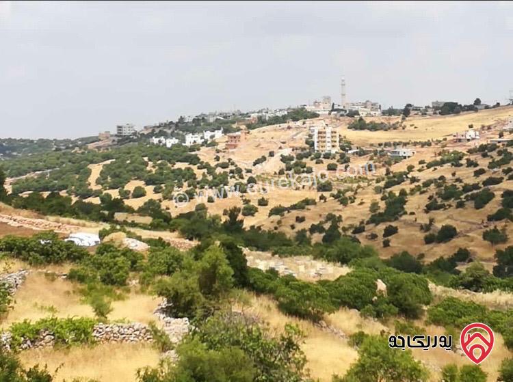 ارض سكنية مساحة 1 دونم و 260م للبيع أو للمبادلة في عجلون راس منيف موقع رائع