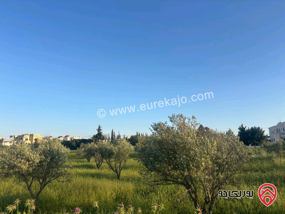 قطعة أرض مساحة 812م للبيع في مادبا - الخطابية 