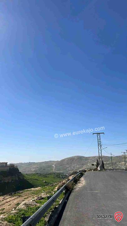 أرض مساحة 739م للبيع في عمان - عراق الأمير