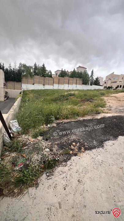 قطعة أرض مساحة 2 دونم للبيع في عمان - دابوق 
