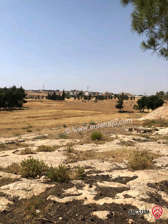 أرض مساحة 650م للبيع من أراضي جنوب عمان - اللبن