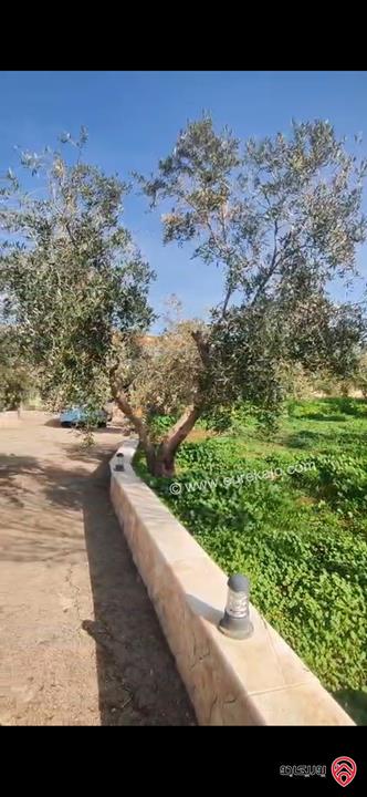 مزرعة فاخرة بمواصفات عالية مساحة البناء 200م على أرض 4 دونم للبيع في الزرقاء - بيرين