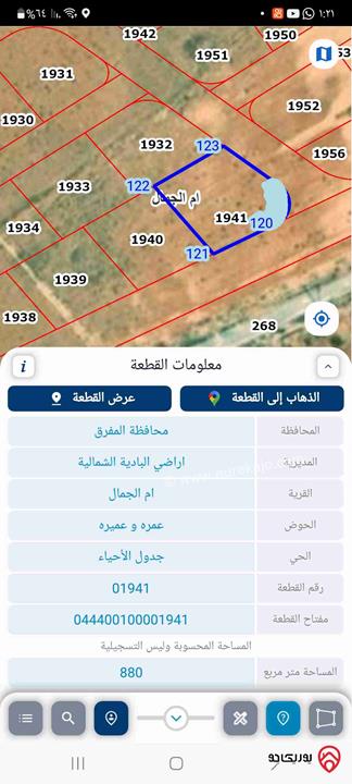 قطعتين أرض مساحتهم 1630م على 3 شوارع واصل كهربا ومي للبيع في المفرق - أراضي البادية الشمالية منطقة عمره وعميره 