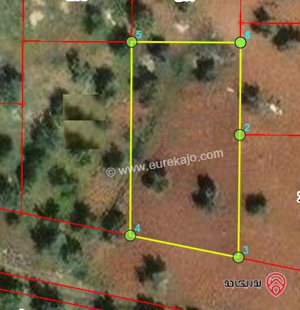 أرض مساحة 747م للبيع في اربد - من اراضي سال حوض البياض الشرقي بسعر مغري 