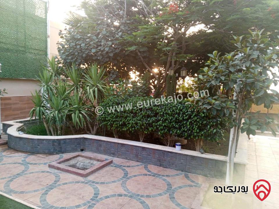 مزرعة و شاليه للإيجار اليومي في البحر الميت - الرامة