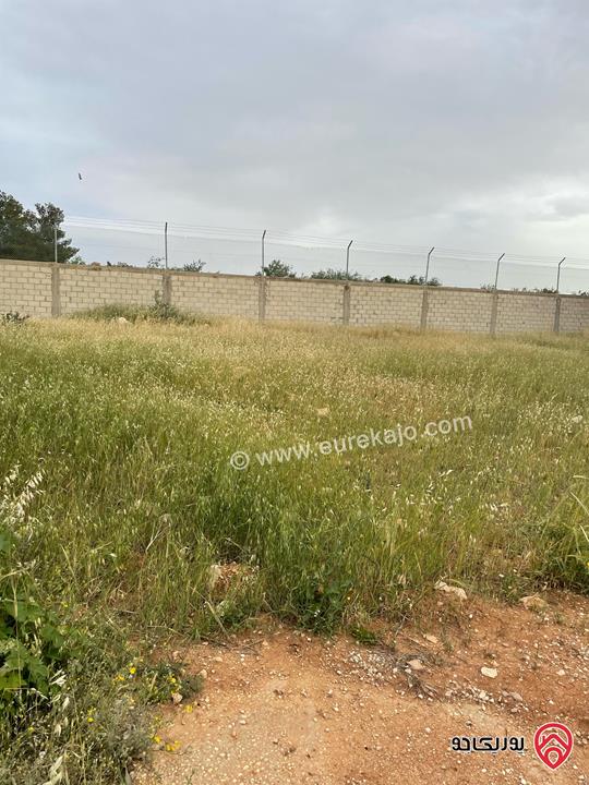 قطعة أرض مميزة مساحة 5 دونم للبيع في عمان - ناعور المشقر