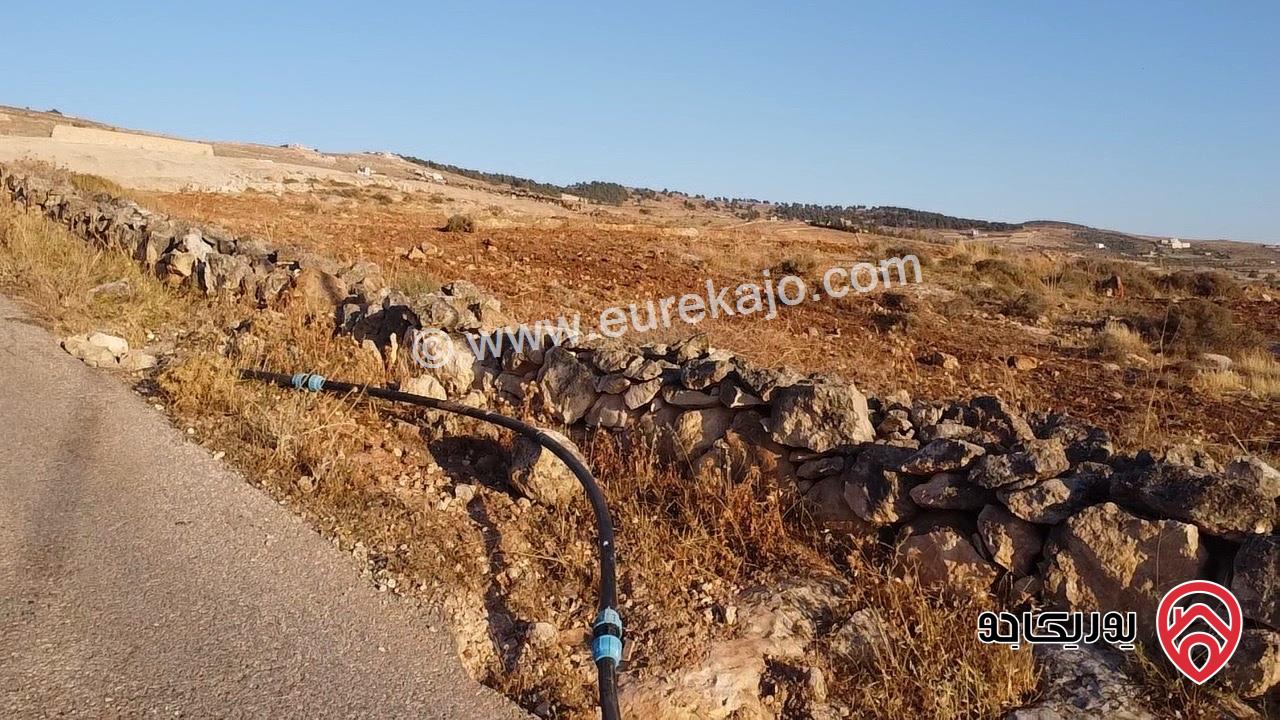 أرض مساحة 2 دونم للبيع في جرش - أم قنطره