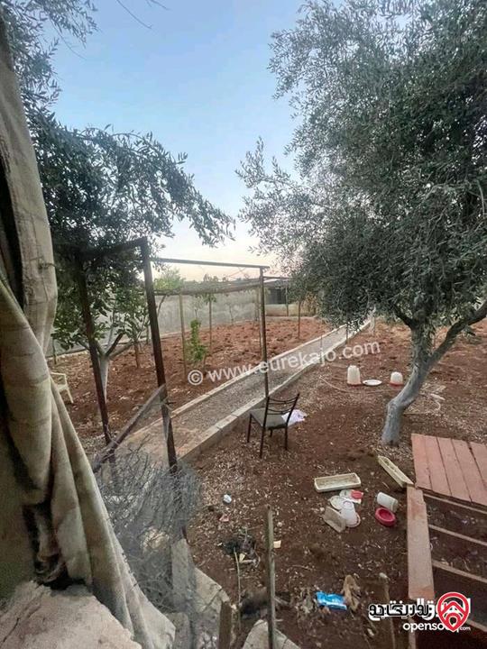منزل مستقل مساحة الارض 1000 متر مربع ( دونم)، مساحة البناء 260 متر مربع للبيع في عمان - منطقة خريبة السوق، السوق المركزي 