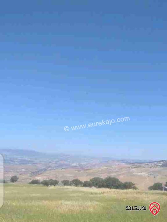 قطعة أرض مساحة 3400م استثمارية للبيع في الزرقاء - العالوك بيرين  قرب الكمشه