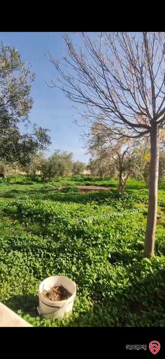 مزرعة فاخرة بمواصفات عالية مساحة البناء 200م على أرض 4 دونم للبيع في الزرقاء - بيرين