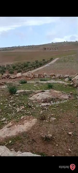 أرض مساحة 5 دونم للبيع في مادبا – لب