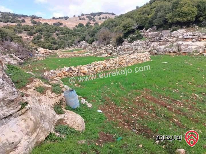 قطعة أرض مساحة 10 دونم للبيع في عجلون مجاورة للاحراش الحكومية من ثلاث جهات 