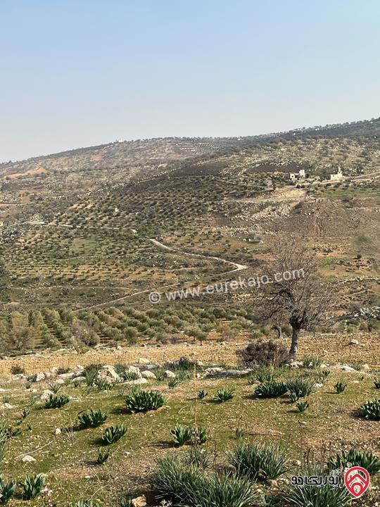 ارض زراعية مساحة 32 دونم للبيع في جرش - المسطبه