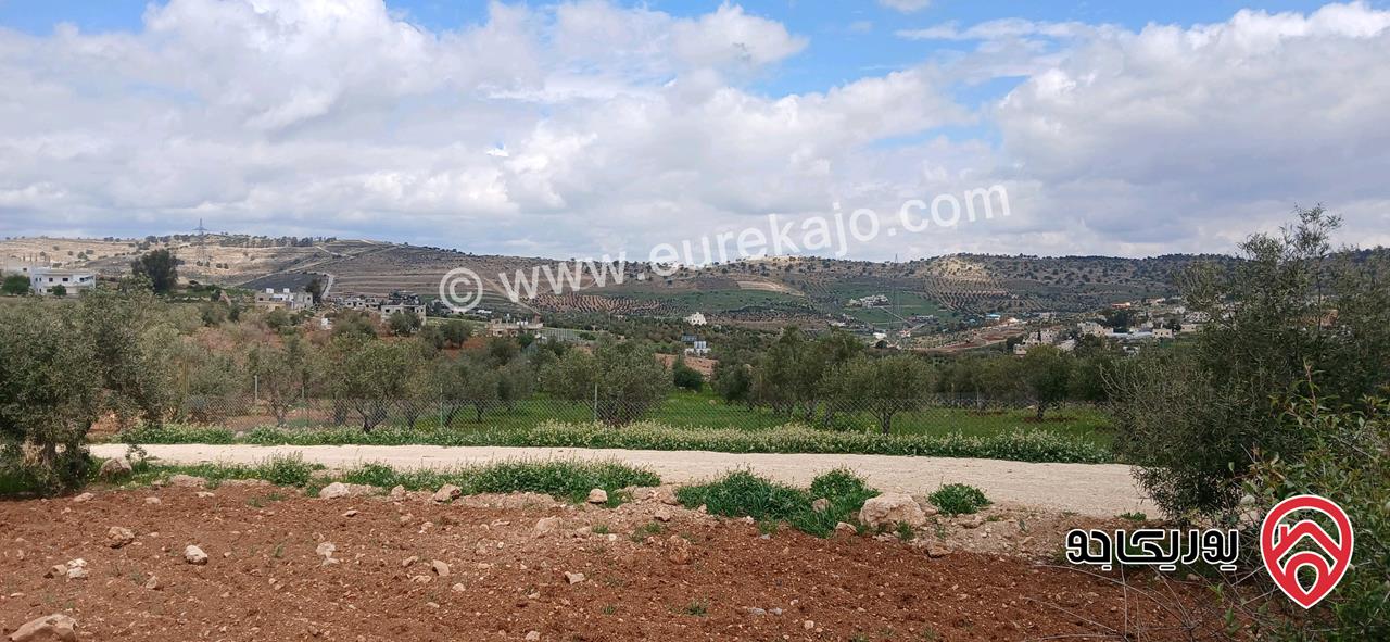 أرض مناسبة لمزرعة مساحة 3 دونم و 88م للبيع في الزرقاء - الكمشة