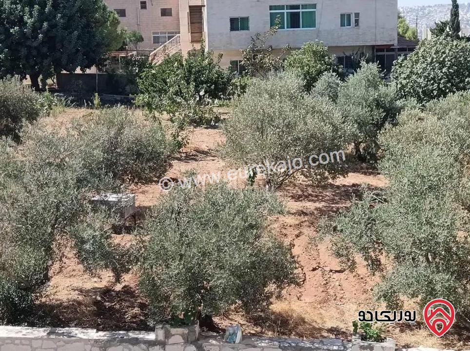 قطعة ارض مساحة 1 دونم للبيع في عمان - ابو نصير 
