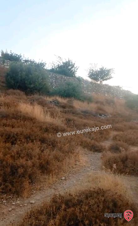 ارض مساحة 904م للبيع في عمان - البحاث مطلة على مرج الحمام 