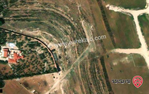 أرض مساحة 1760م للبيع في عمان - ناعور البويضة خلف نادي الجواد 