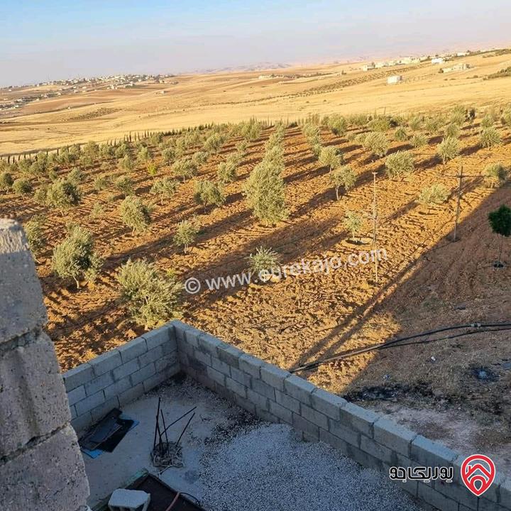 أرض زراعية مساحة 25 دونم للبيع في الكرك - فقوع