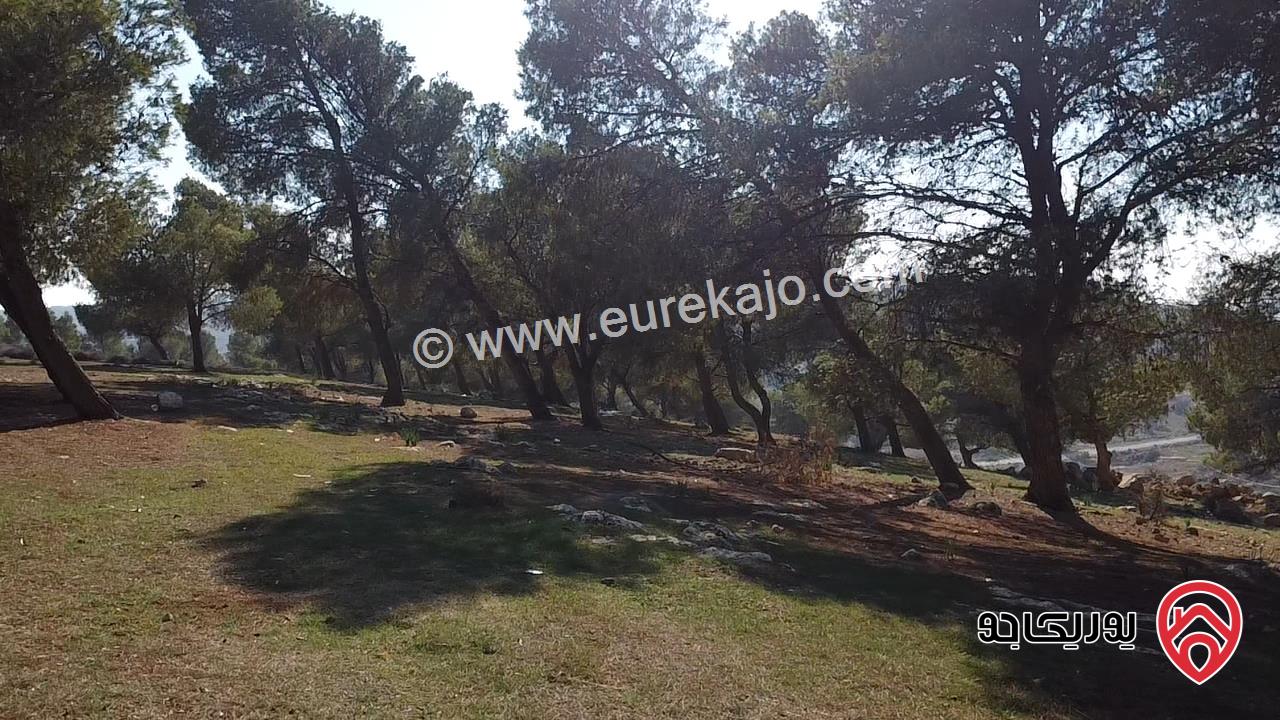 ارض مساحة 2 دونم للبيع في أرقى مناطق جرش عنيبه اسكان المهندسين بالقرب من معالي سعد جابر