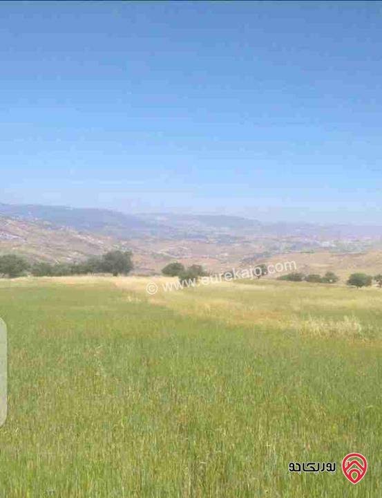 قطعة أرض مساحة 3400م استثمارية للبيع في الزرقاء - العالوك بيرين  قرب الكمشه