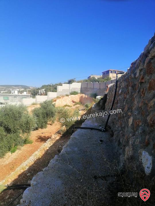 مزرعة مساحة الأرض 5 دونم و 200م للبيع في عجلون - عنجرة