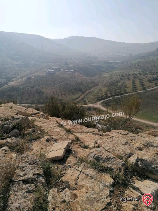 ارض مساحة 1 دونم و 263م اطلالة بانوراما للبيع في الزرقاء - بيرين