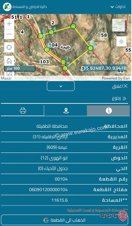 ارض مساحة 11615م للبيع في عيمة حوض ابو الهوى من اراضي الطفيلة