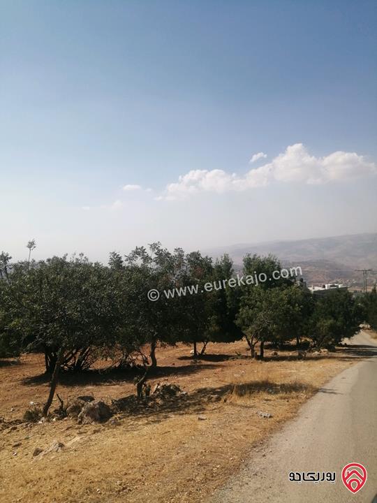 أرض مميزة مساحة 3 دونم و 600م للبيع في السلط زي اطلالة جميلة على عجلون وجرش والغرب تصلح للمزرعة او للسكن 