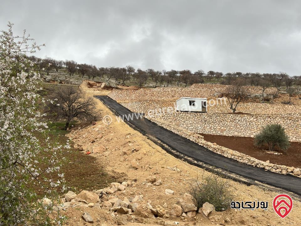 أرض مساحة 3 دونم و 400م للبيع في الزرقاء - صروت
