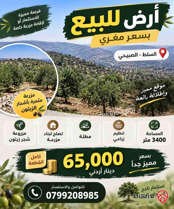 ارض مساحة 3 دونم و 400م للبيع في السلط الصبيحي 