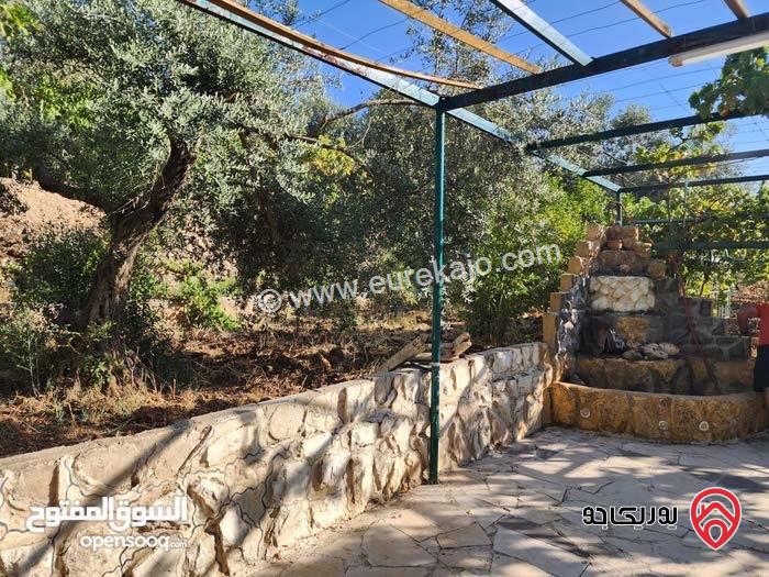 مزرعة مساحة الأرض 2 دونم و 491م للبيع بمنطقة  السلط - زيّ 