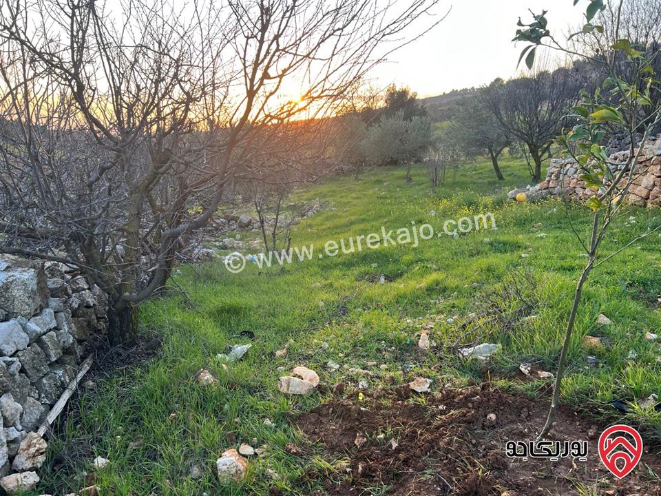 ارض مساحة 1 دونم و 982م للبيع في عجلون عنجرة سرابيس