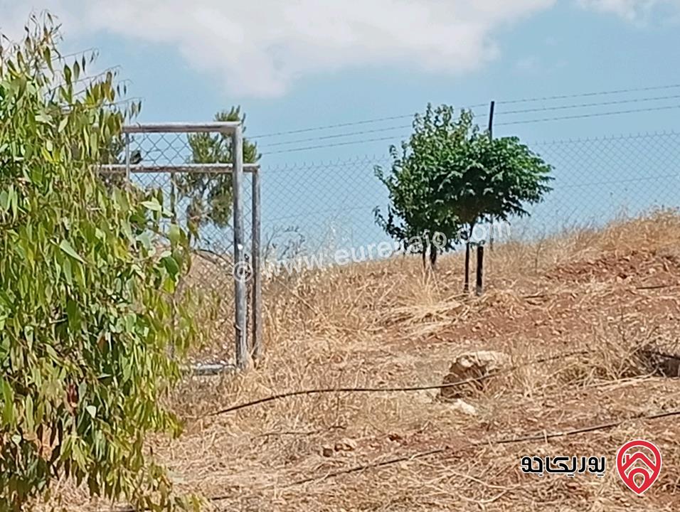 مزرعة مساحة الأرض 3 دونم و 400م بإطلالة للبيع في المفرق - بلعما